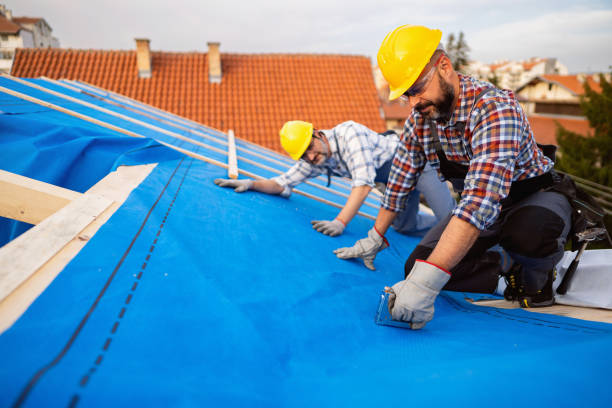 Best Roof Leak Repair  in Wyoming, IL