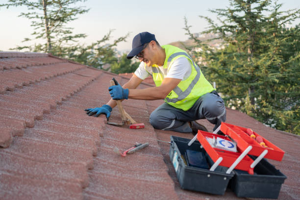 Best Emergency Roof Repair  in Wyoming, IL