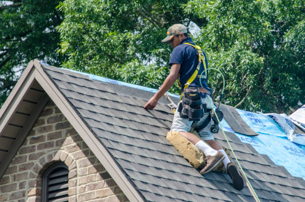 Best Best Roofing Contractors  in Wyoming, IL